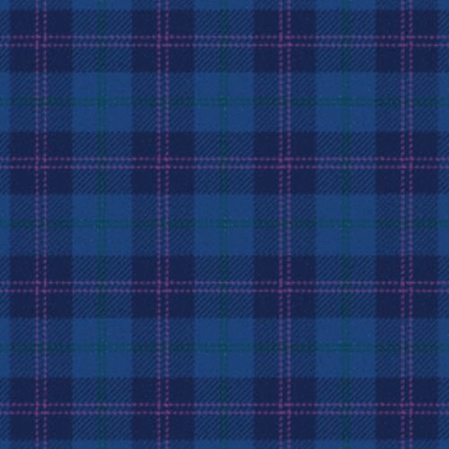 Gravesend Grammar School Tartan - Imperial Highland Supplies