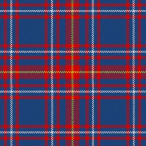 Newton Primary School Tartan - Imperial Highland Supplies