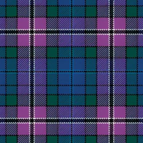South Lanarkshire Tartan - Imperial Highland Supplies