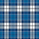 Strathclyde District Tartan - Imperial Highland Supplies